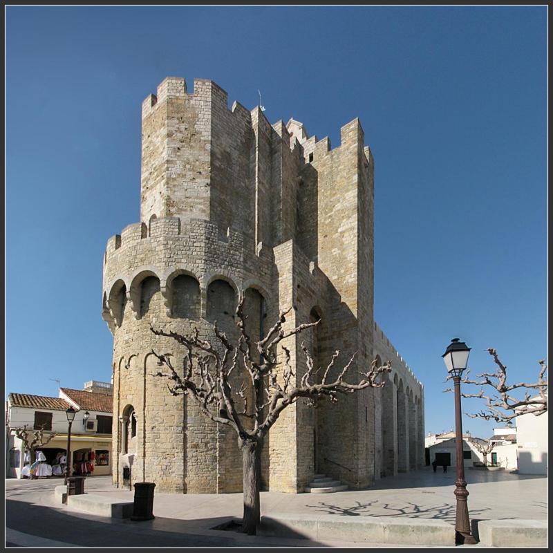 Вілла Camargue Beauvoisin  Екстер'єр фото