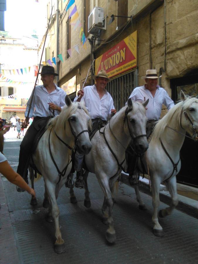 Вілла Camargue Beauvoisin  Екстер'єр фото